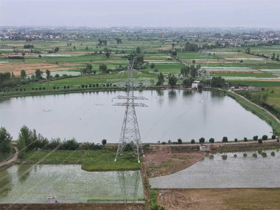 خطوط انتقال برق بلده، زیر ذره‌بین مدیران ملی